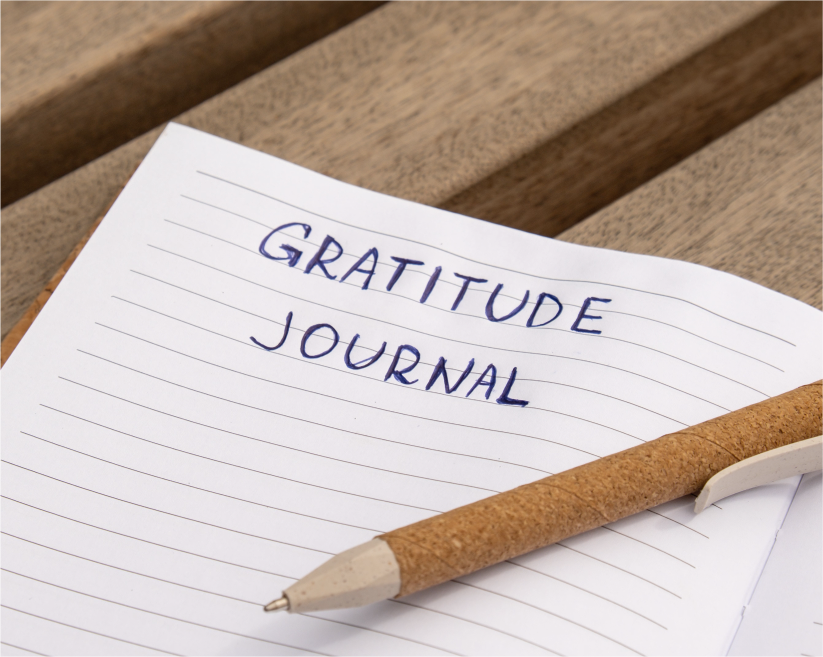 Day 2 📓 Start a Gratitude Journal