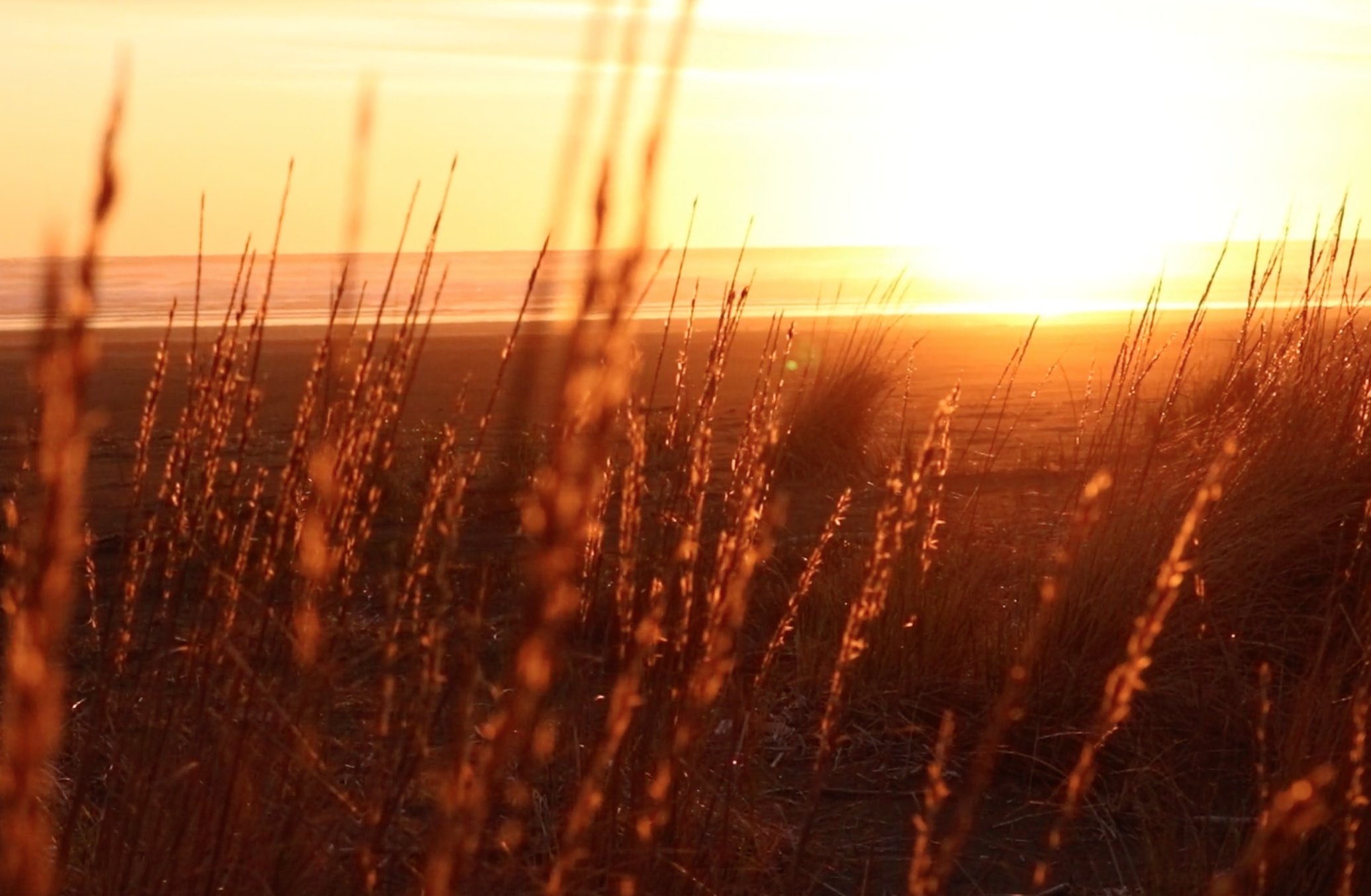 Day 4 🌞 AM Gratitude Ritual